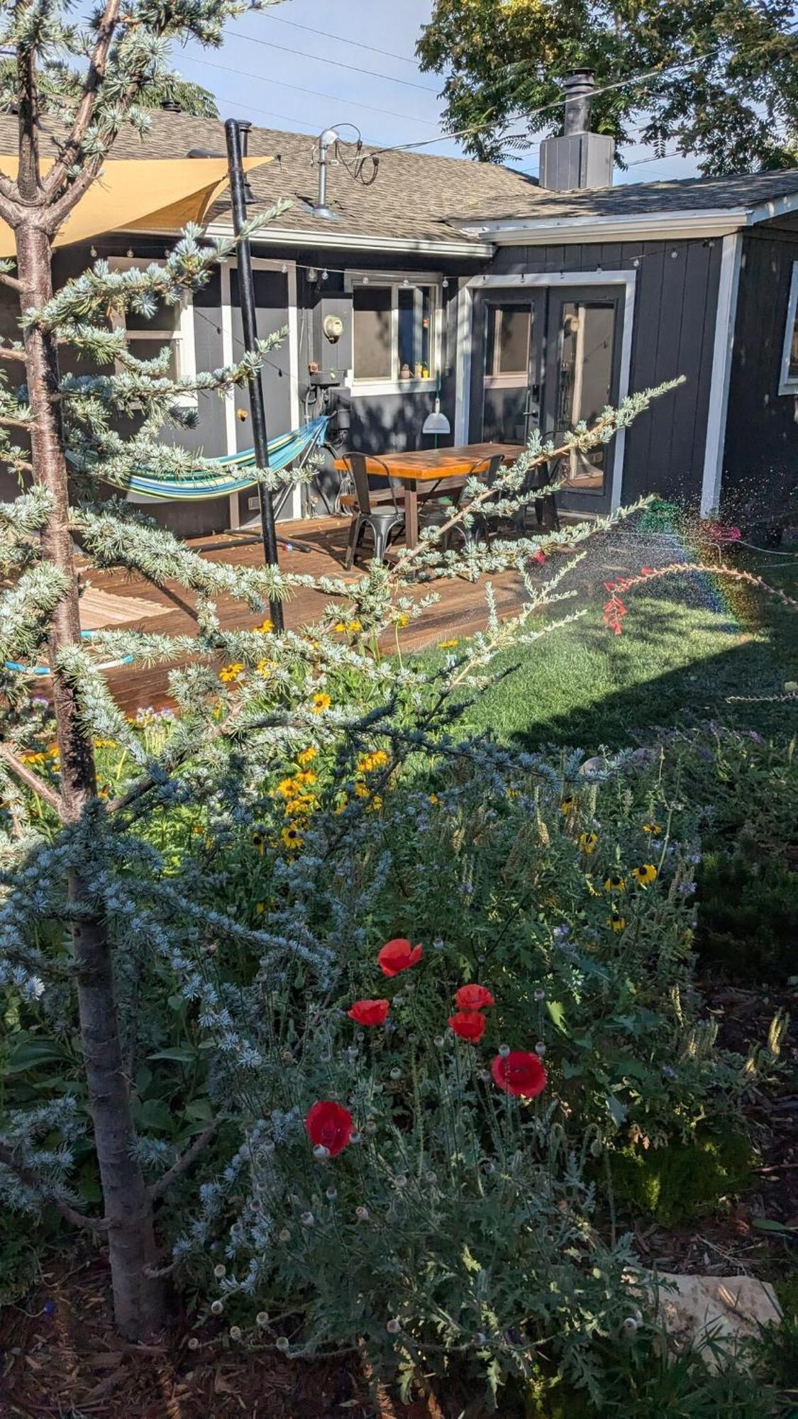 The Midtown Reno Orchardヴィラ エクステリア 写真